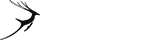 会员商店可靠的攻击网站服务器